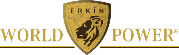 Erkin World Power Logo